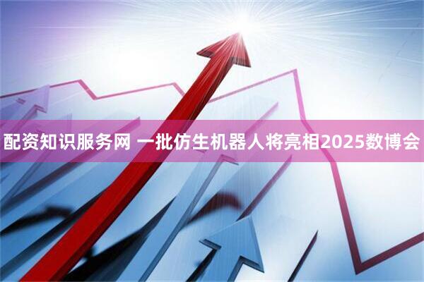 配资知识服务网 一批仿生机器人将亮相2025数博会